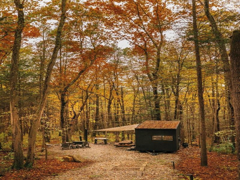 Postcard Cabins Machimoodus Outdoor Collection image