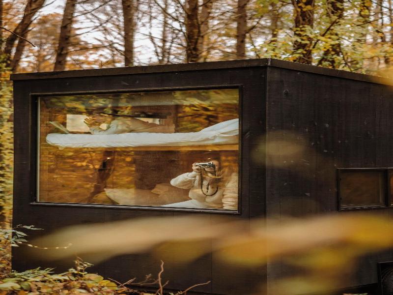 Postcard Cabins Machimoodus Outdoor Collection image