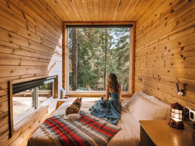 Postcard Cabins Machimoodus Outdoor Collection image