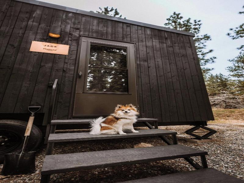 Postcard Cabins Talladega Valley Outdoor Collec image