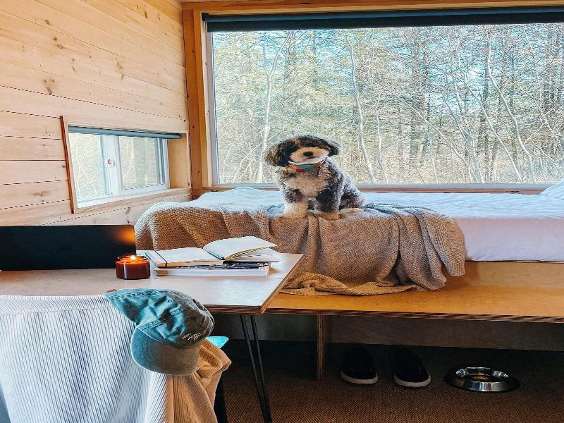 Postcard Cabins Talladega Valley Outdoor Collec image