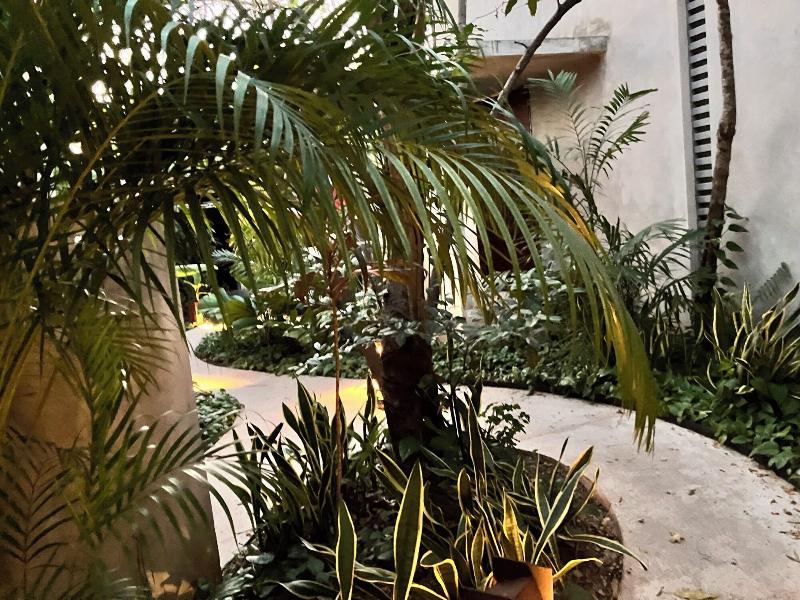 Basico Pixoy Hotel image
