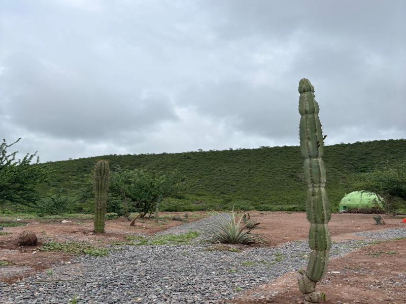 Sentio Camps image