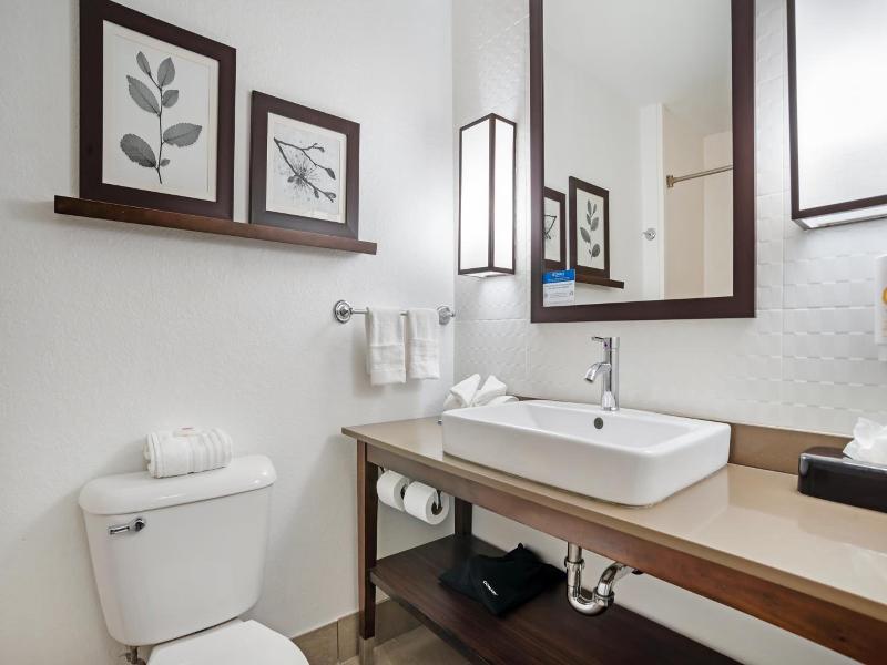 Comfort Inn Suites Slidell image