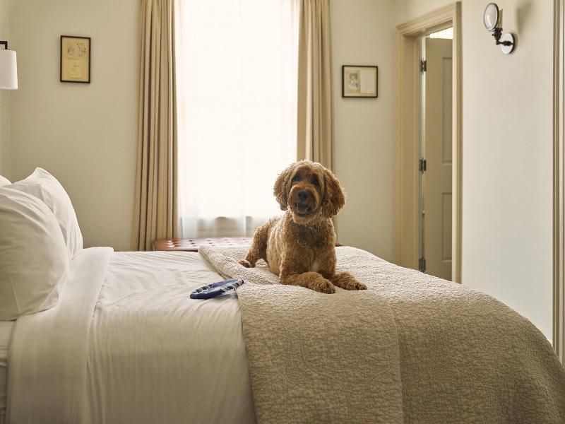 Hotel Fauchere