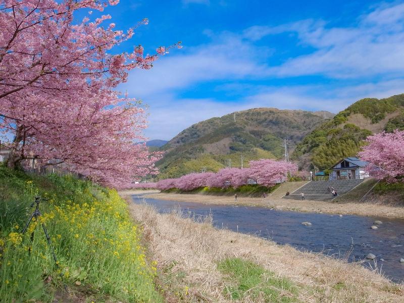 Kamenoi Hotel Izukogen image