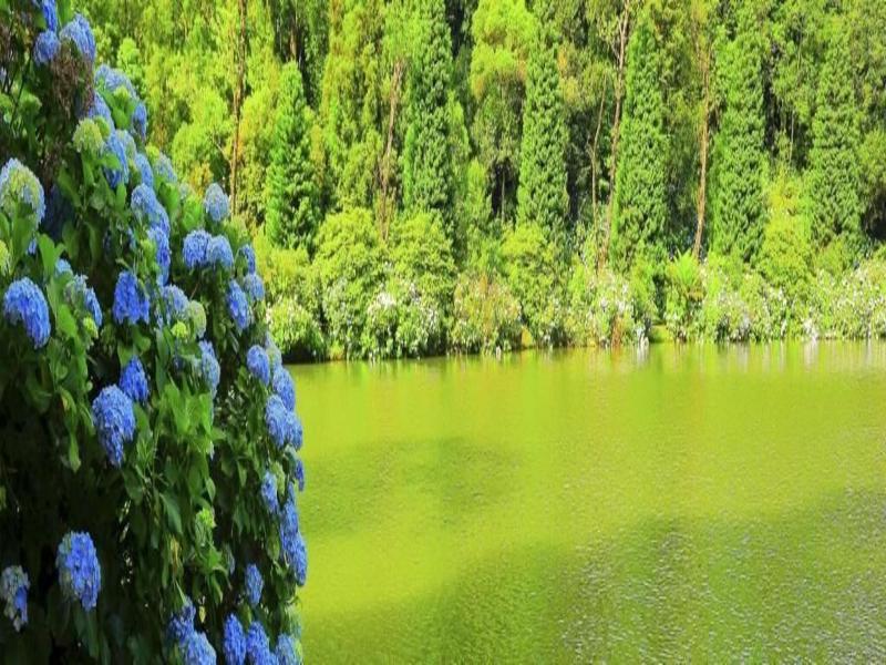 Pousada Vista Do Lago