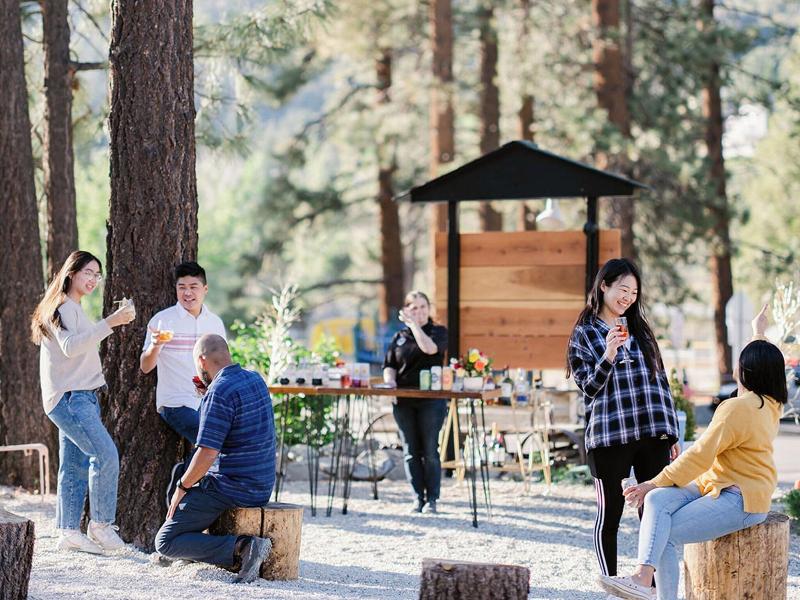Grand Pine Cabins image