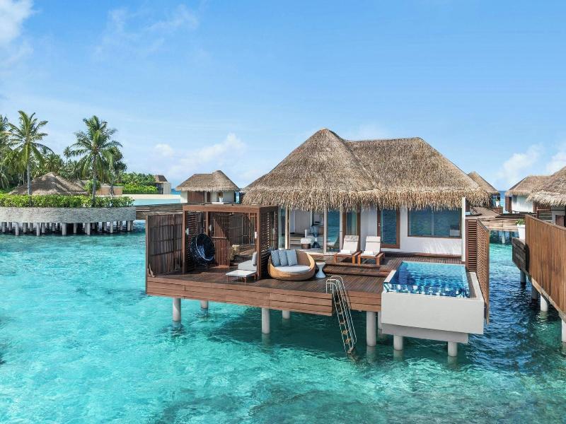 W Maldives image