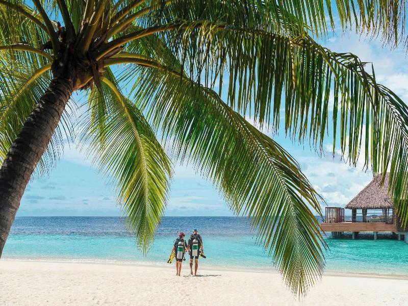 W Maldives image