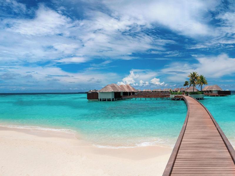 W Maldives image