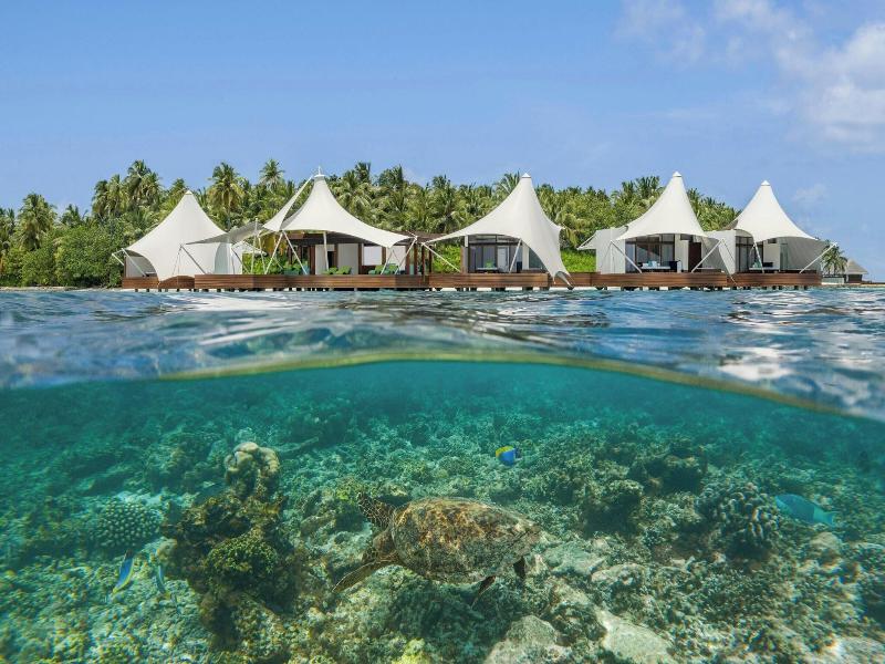 W Maldives image