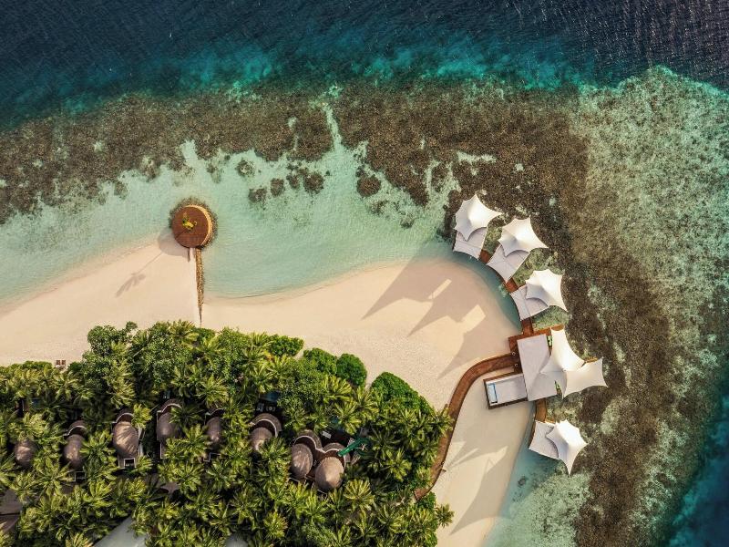 W Maldives image