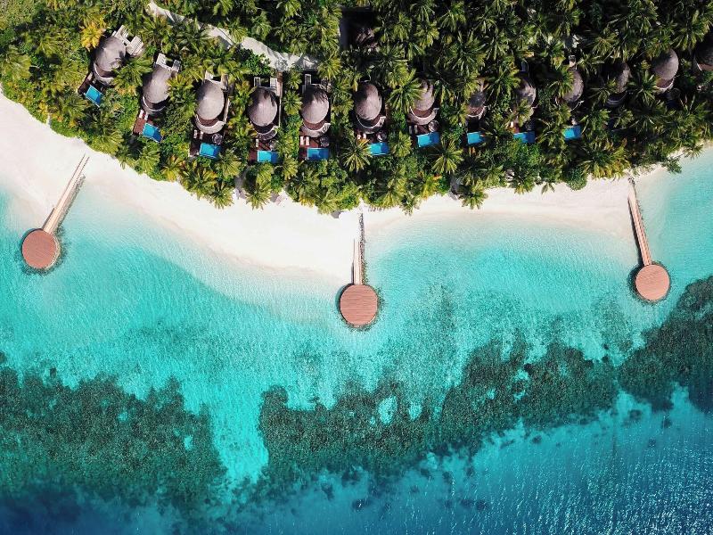 W Maldives image