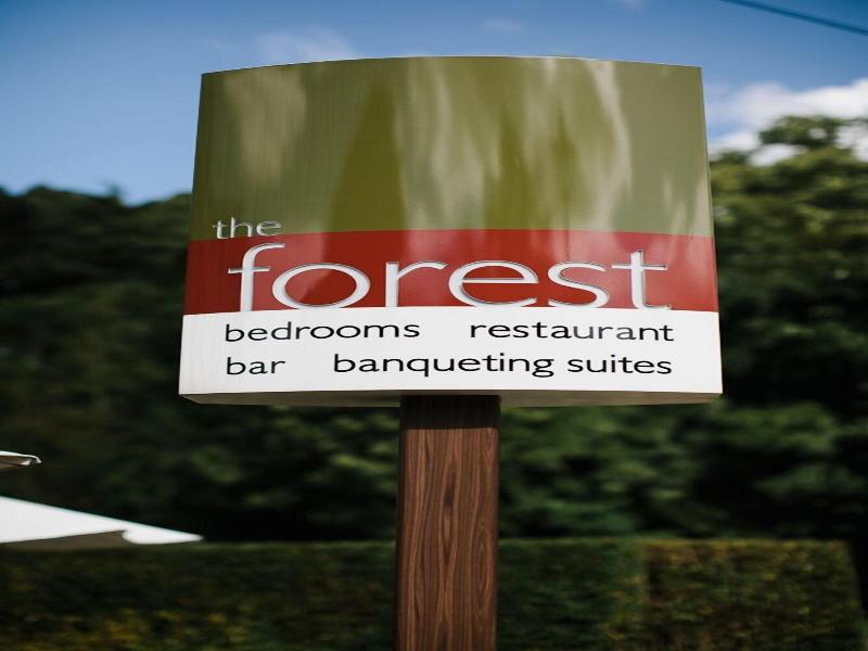 The Forest Hotel image