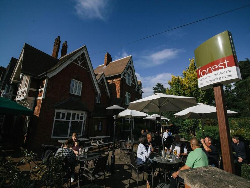 The Forest Hotel image