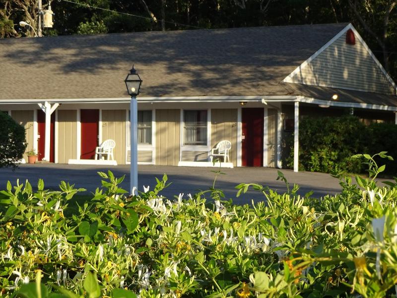 Viking Shores Motor Inn image