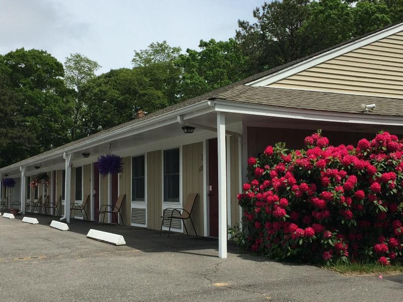 Viking Shores Motor Inn image