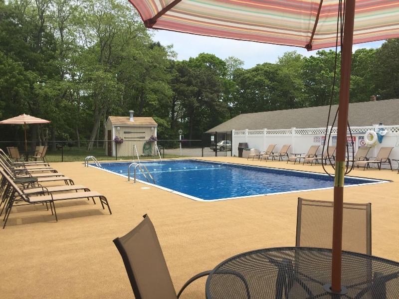 Viking Shores Motor Inn image