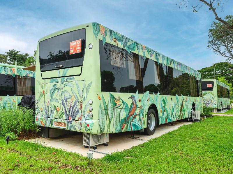 The Bus Collective image