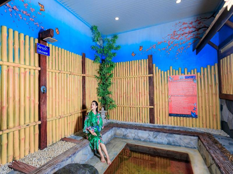 Saline Hot Spring Resort image