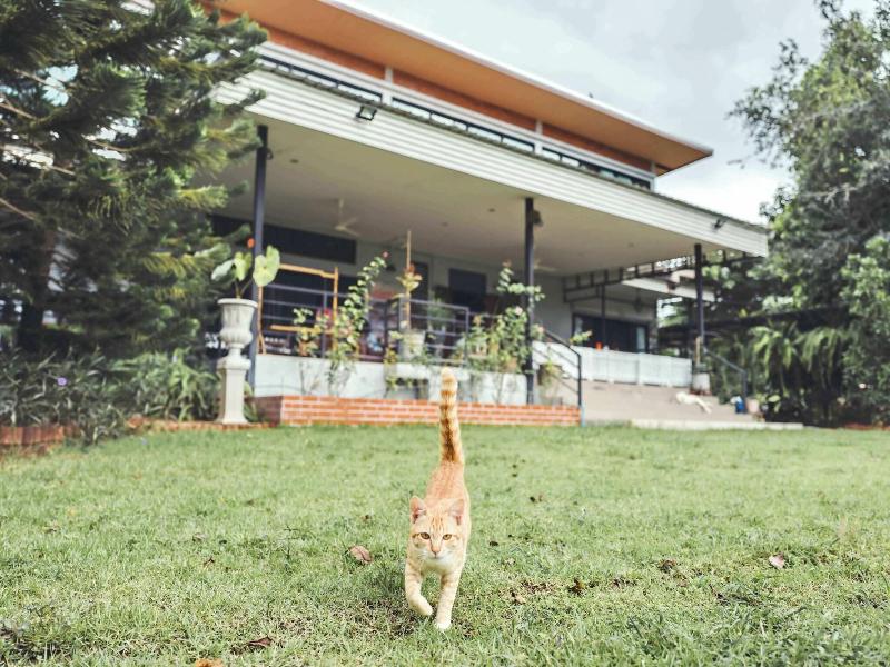 Tantai Eco Farm Stay At Khao Yai