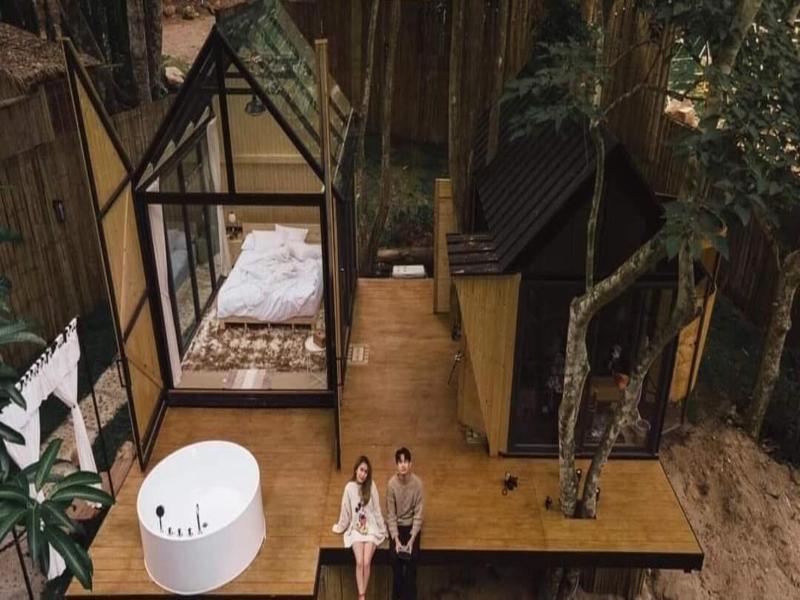 Morning Star Glamping image