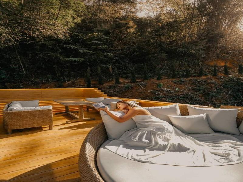 Morning Star Glamping image