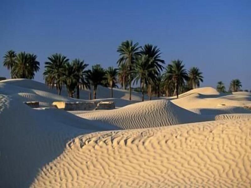 Yadis Oasis Kebili image