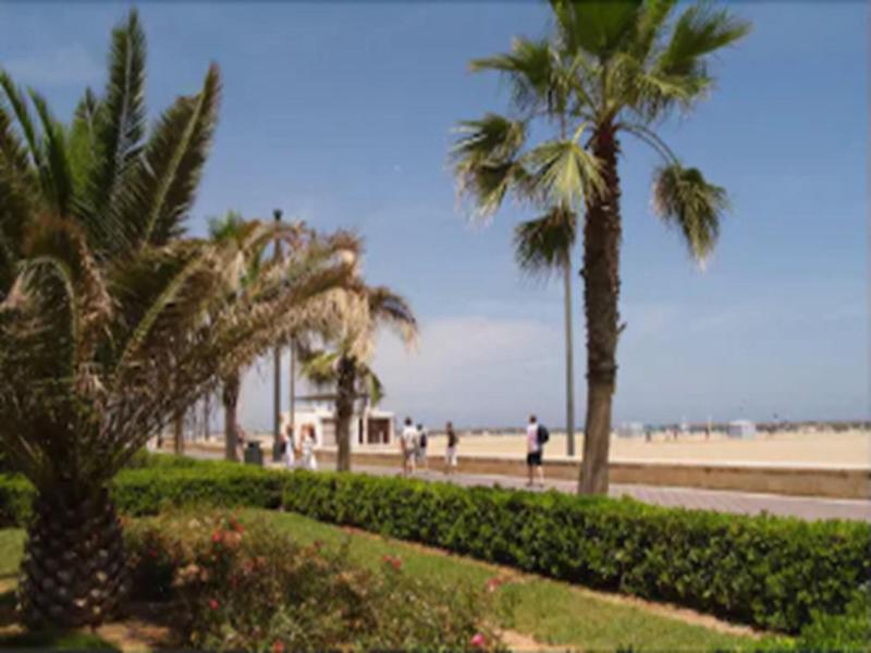 El Coso image