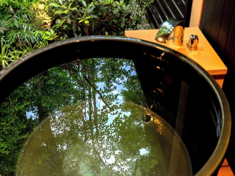 Awaumi Fujikawaguchiko Resort image