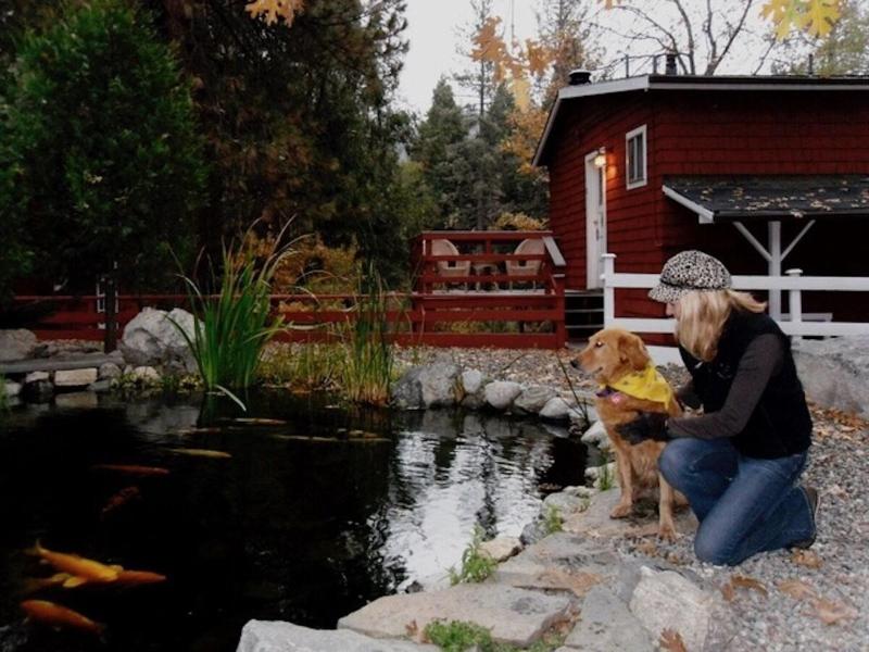 Silver Pines Lodge image