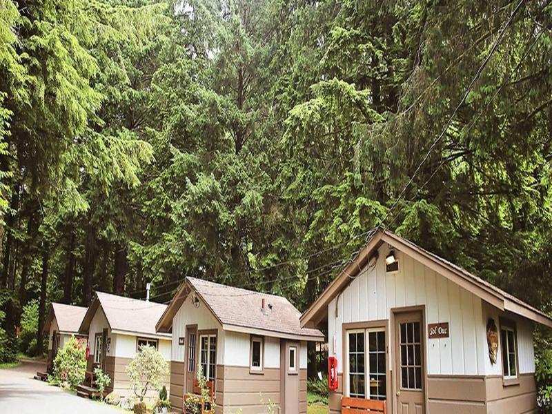 3 Rivers Resort And Guide Service, Forks