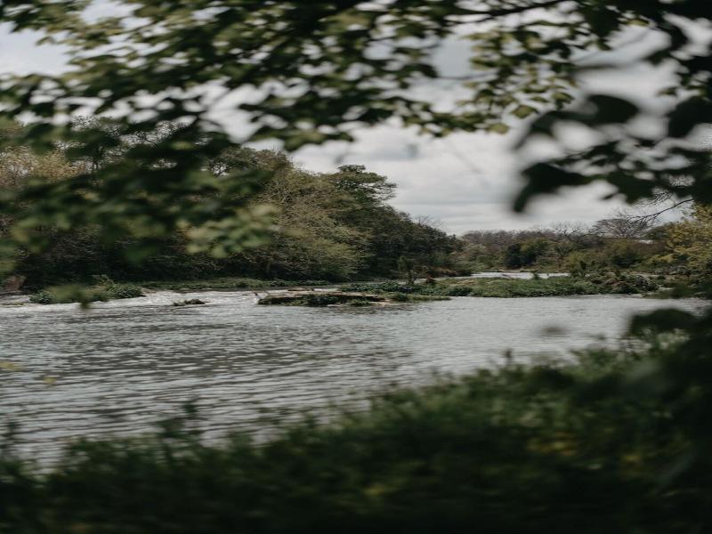 Melrose River Club image