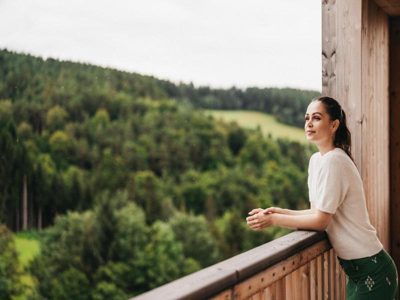 Hotel Muhr image