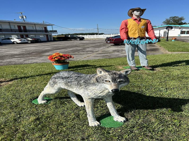 Motel Boutique By Wolf Inn image