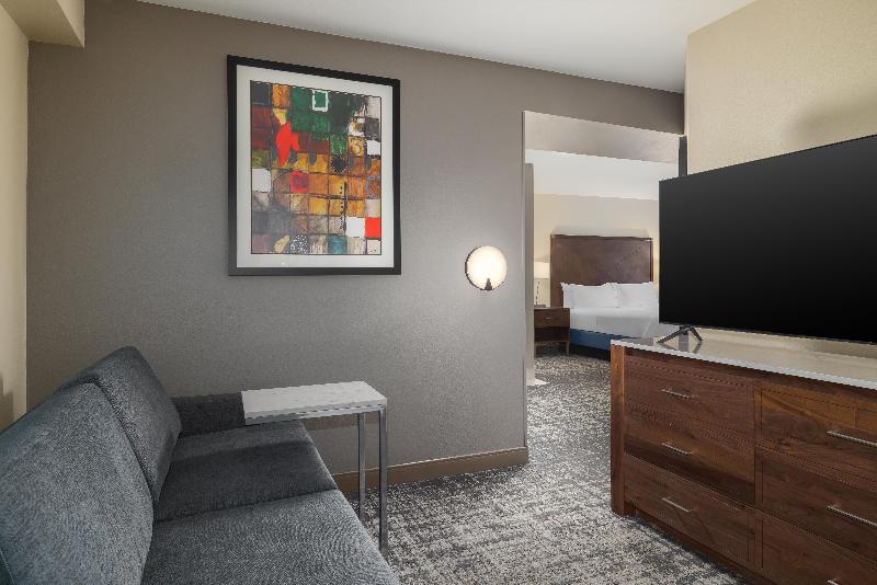Embassy Suites by Hilton Laredo image