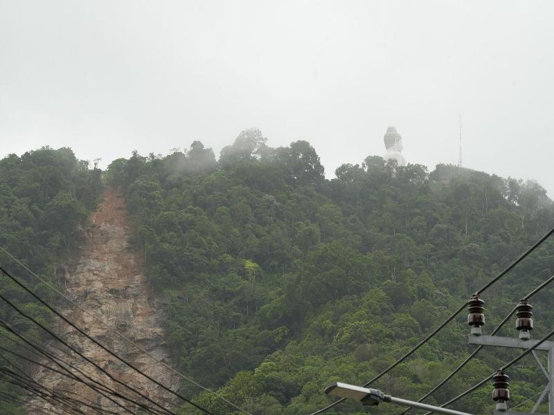 Coco Mountain View image