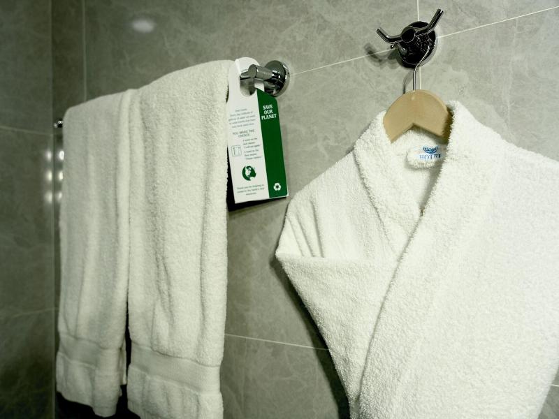 Garnet Mir Hotel image
