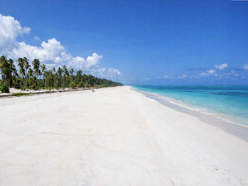 Kappa Senses Zanzibar image