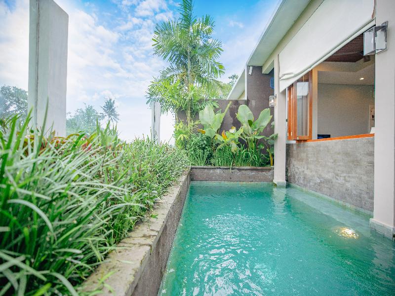 Lavanya Ubud Villas image