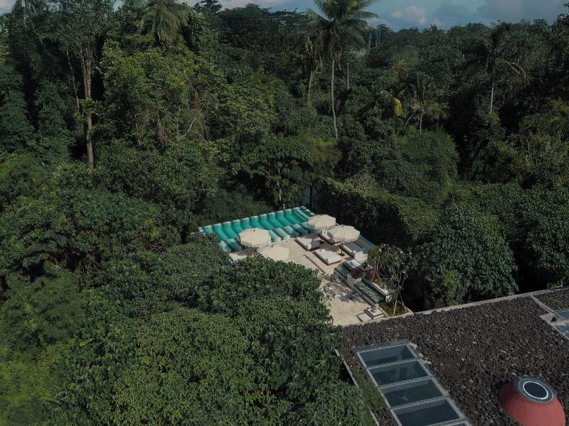 The Craft Hotel Ubud — general view