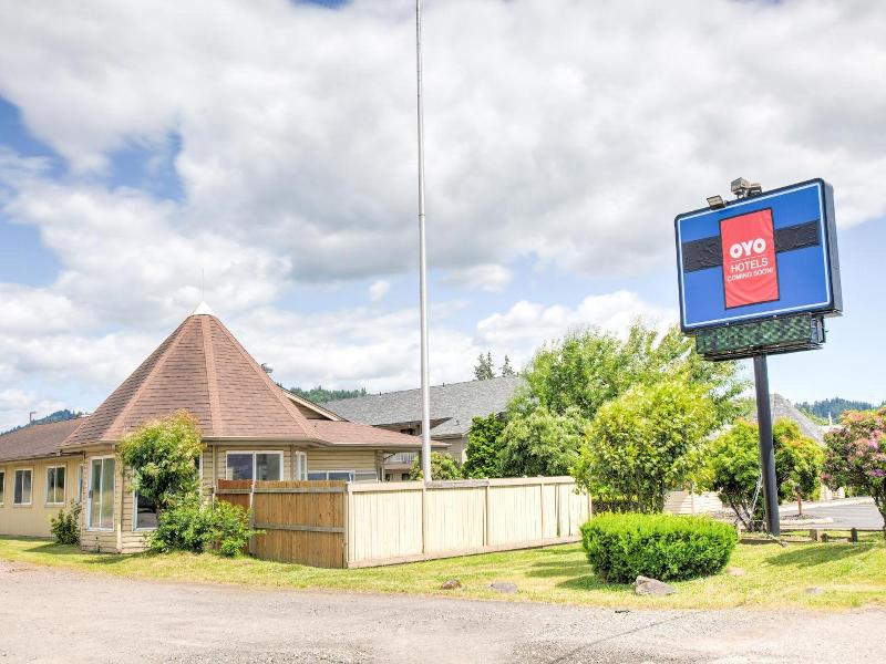 Oyo Woodland Hotel And Suites image