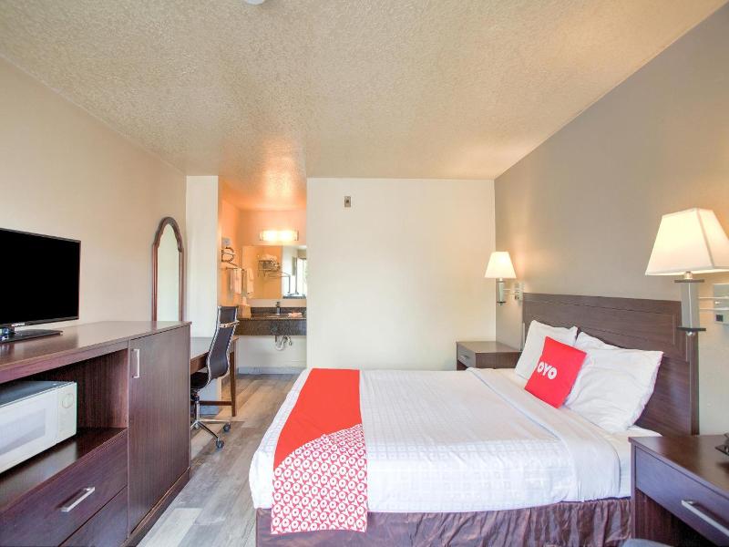 Oyo Woodland Hotel And Suites image