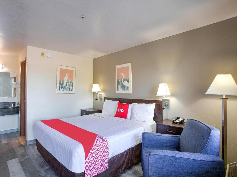 Oyo Woodland Hotel And Suites image
