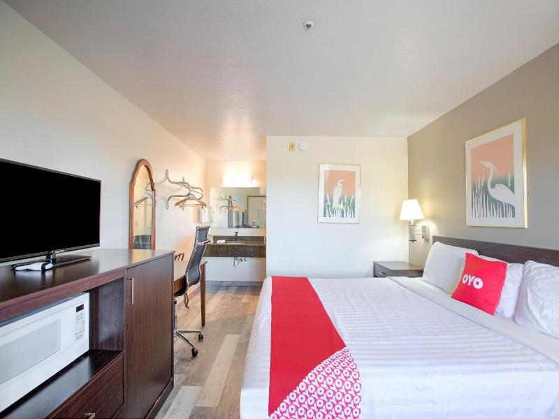 Oyo Woodland Hotel And Suites image