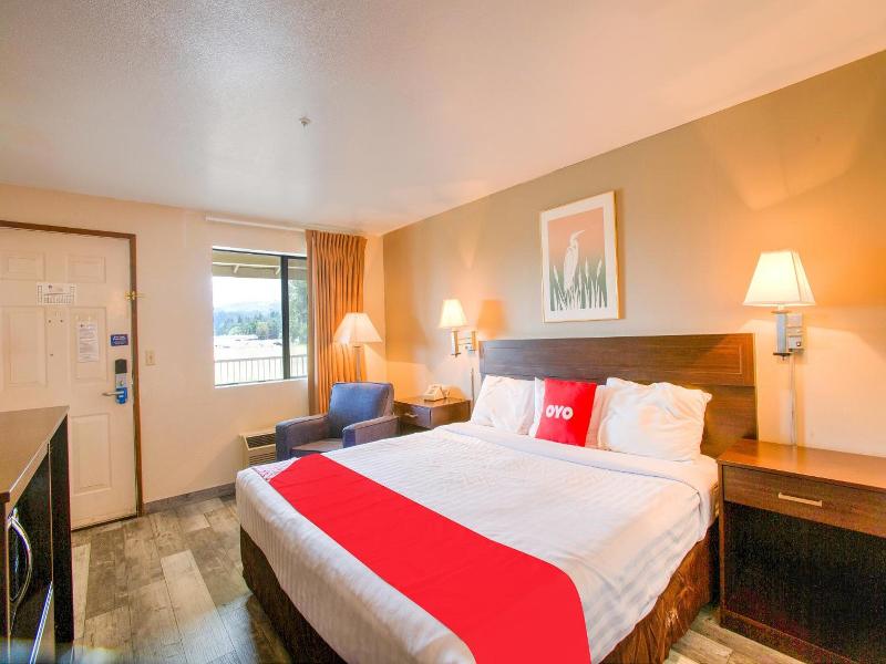 Oyo Woodland Hotel And Suites image