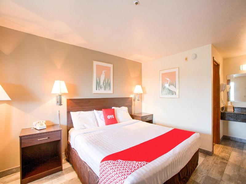 Oyo Woodland Hotel And Suites image