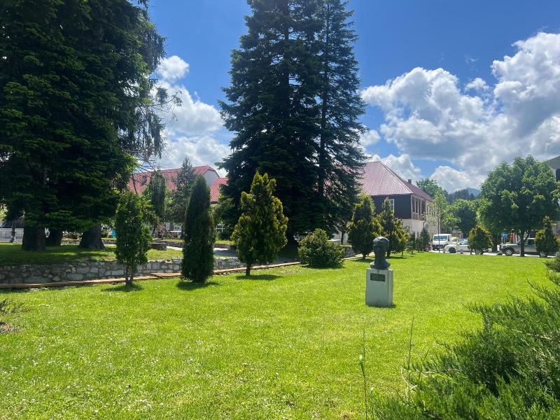 Chalet Kolasin image