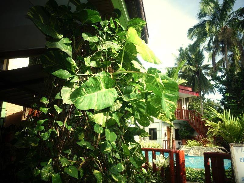 Stefanie Grace Inn image